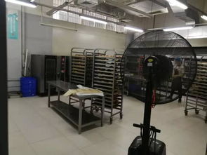 番禺石碁鎮(zhèn)食品廠1100方帶設(shè)備轉(zhuǎn)讓,形象好