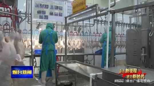 逆勢而上 煙臺企業穩步挺進海外市場